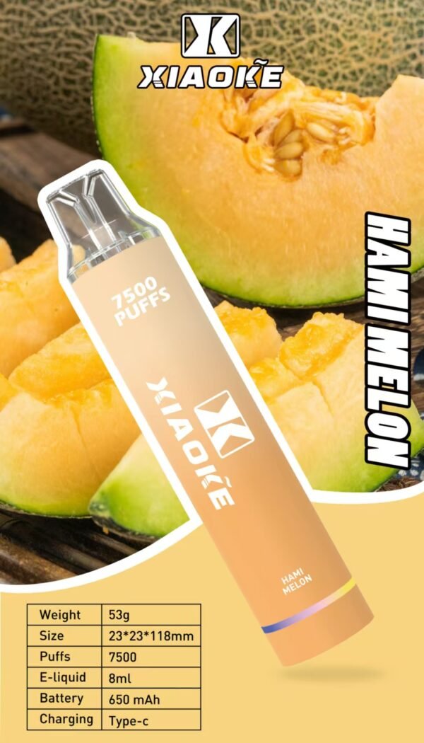 【XIAOKE 梟客】🪄拋棄式🍬 一次性霧化商品 7500口 (可充電)