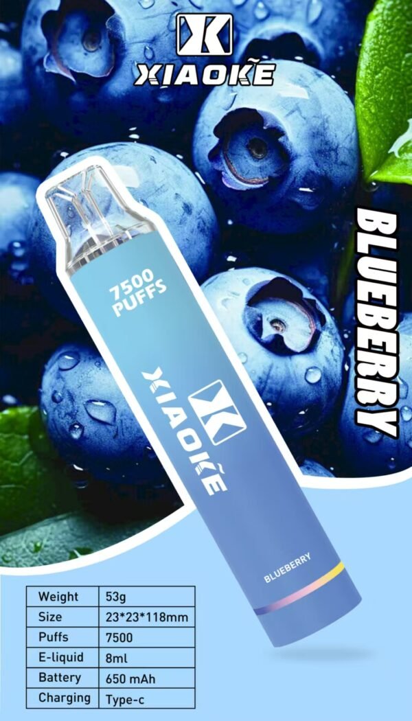 【XIAOKE 梟客】🪄拋棄式🍬 一次性霧化商品 7500口 (可充電)